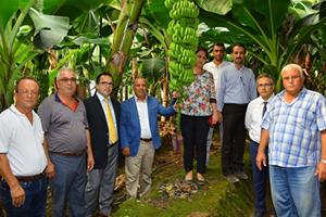 Manavgat Muza Damgasını Vuracak