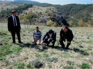 Müdür Gümüş ten Lavanta Yetiştirin Tavsiyesi