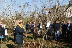 Fındık Verim Değerlerinde Acı Tablo