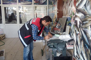 1 8 Ton Balığa El Koyuldu