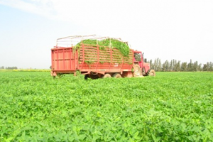 Sivaslı Üretici Daha Fazla Kazanacak