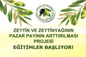 Zeytin Zeytinyağı Pazar Payının Arttırılması Projesi