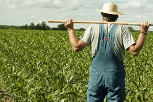 ÇKS Başvuru Süresi Uzatıldı