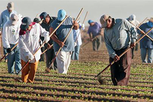 Tarımda İstihdam Arttı
