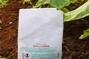 Tarımda Bor Bereketi