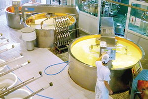 Süt Ürünlerine Yeni Mevzuat Geliyor