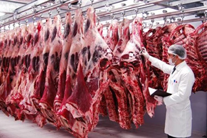Kırmızı Et üretimi Üçüncü Çeyrekte Yüzde 46 Arttı