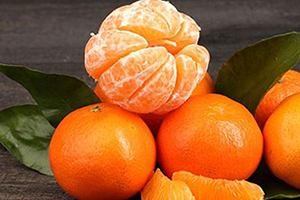 Ukrayna dan Geri Gönderilen 29 Ton Mandalinaya Ne Oldu