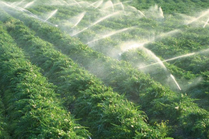 Güneş Kuruyan Tarlalara Can Suyu Oluyor