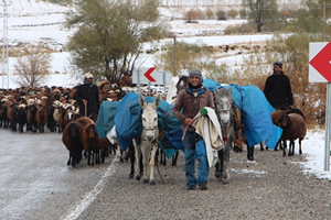 Besicilere Zorlu Mesai Başladı