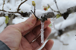 Meteorolojiden 5 il İçin Don Uyarısı
