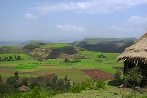 Herkesin Gözü Afrika Topraklarında