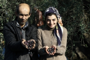 Dünya Zeytin Günü ne Prim Damgası