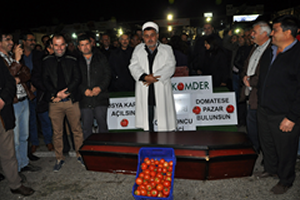 Antalya da Çiftçiler Domatesin Cenazesini Kaldırdı