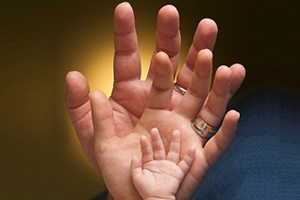 Tarım Kredi Personeli Artık Fark Ödemeyecek