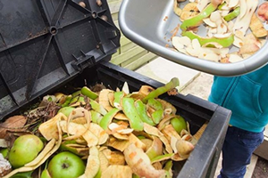 BM Gıda ve Tarım Örgütü nün Raporu