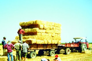 Ot Borsası Kuruluyor