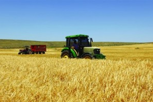 Tabandan Değil Tavandan Başlıyorlar