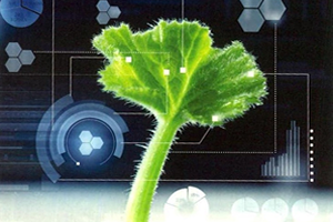 Tarımda Dijitalleşme Yaygın Bir Akım