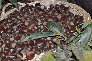 Fiyatlar Arttı Üretici Sevindi