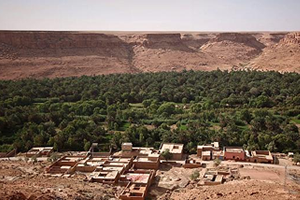 Dünyanın En Büyük Çölü Yeniden Hayat Buluyor
