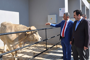 Türk Tarımı Dünyada Artık Küresel Bir Aktör