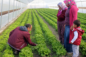 Sera Kuran Genç Çiftçiler Kışlık Sebze Üretimine Başladı