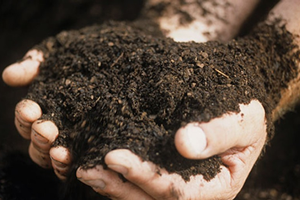 O Kadar Biyolojik Gübre Bulamayız