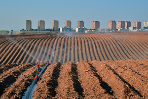 Her Yıl 500 Milyon Ton Verimli Toprak Kaybediliyor
