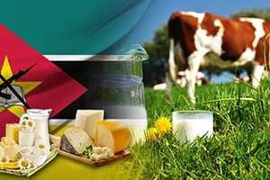 Mozambik te Sütler Türk Malı Tesislerde İşlenecek