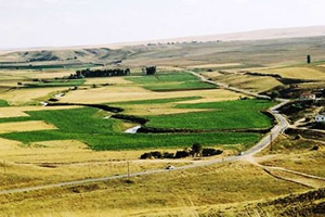 Hollanda Kadar Tarım Arazisi Gitti