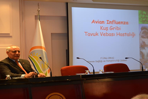 İzmir de Kuş Gribi Alarmı