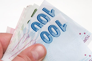 Kişi Başına Düşen Milli Gelir 2015 de 29 Bin 885 Oldu