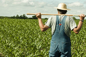 TEB den Çiftçilere Hasat Kredisi