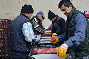 Elma da Hareket Başladı