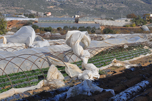 Antalya da Fırtına Seraları Uçurdu