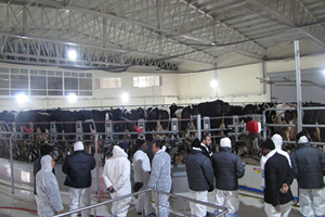 Burundi de Hayvancılık TİKA İle Canlanıyor