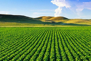 Eskişehir in 19 Ürünü Havza Bazlı Üretim Desteği Kapsamına Alındı