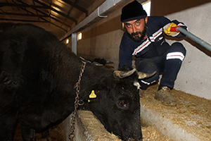 İşte Gerçek Mandra Filozofu