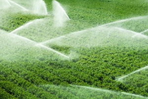 Yüzde 50 Hibeli Bireysel Sulama Başvuruları Yeni Yılda Başlıyor