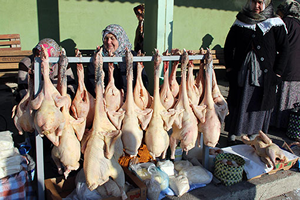 Hindiler Kapış Kapış Satılıyor