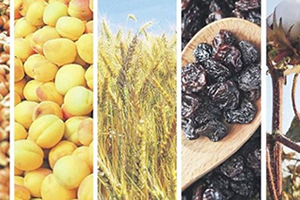 9 Borsanın Yetkisi Kalkacak