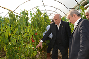 Tarımsal Üretim Hızla Seraya Kayıyor