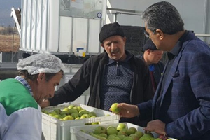 Torku Elma Suyu Üretimine Başladı