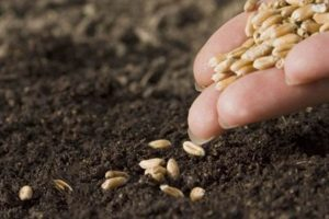 Yok Olma Tehlikesiyle Karşı Karşıya