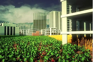 Tarım Arazisini Amaç Dışı Kullanana Af Geliyor