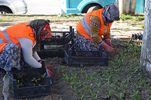 Buca ya 100 Bin Çiçek