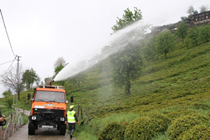 Çay Üretiminde Kimyasal Gübre Yasaklandı