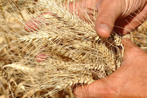 Tarım ve Gıda Etiği Projesi