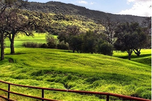 Çayır ve Meralar da Kamulaştırılacak mı